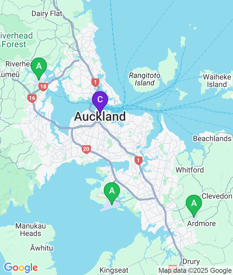 Auckland Available Airport Options